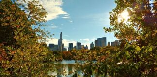 I parchi più belli di New York: quali visitare e come arrivare