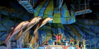 SeaWorld San Antonio: attrazioni, spettacoli, orari, prezzi biglietti, come arrivare e dove alloggiare vicino al parco