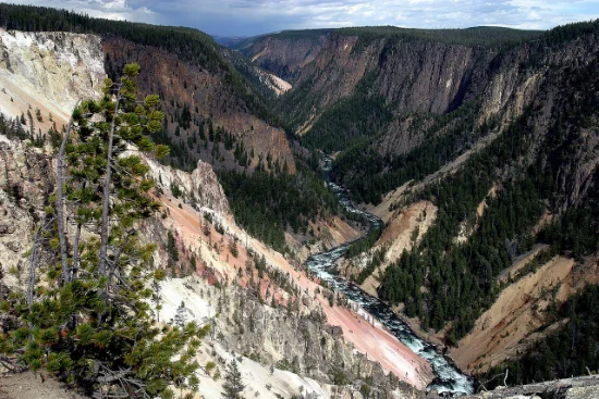 Grand Canyon di Yellowstone
